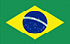 브라질 TGM 패널 설문조사에서 현금 벌기