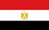 이집트의 TGM 국가 패널