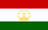 TGM 패널 - 타지키스탄에서 현금 벌기 위한 설문조사