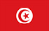 튀니지에서 현금 벌기 위한 TGM 설문조사